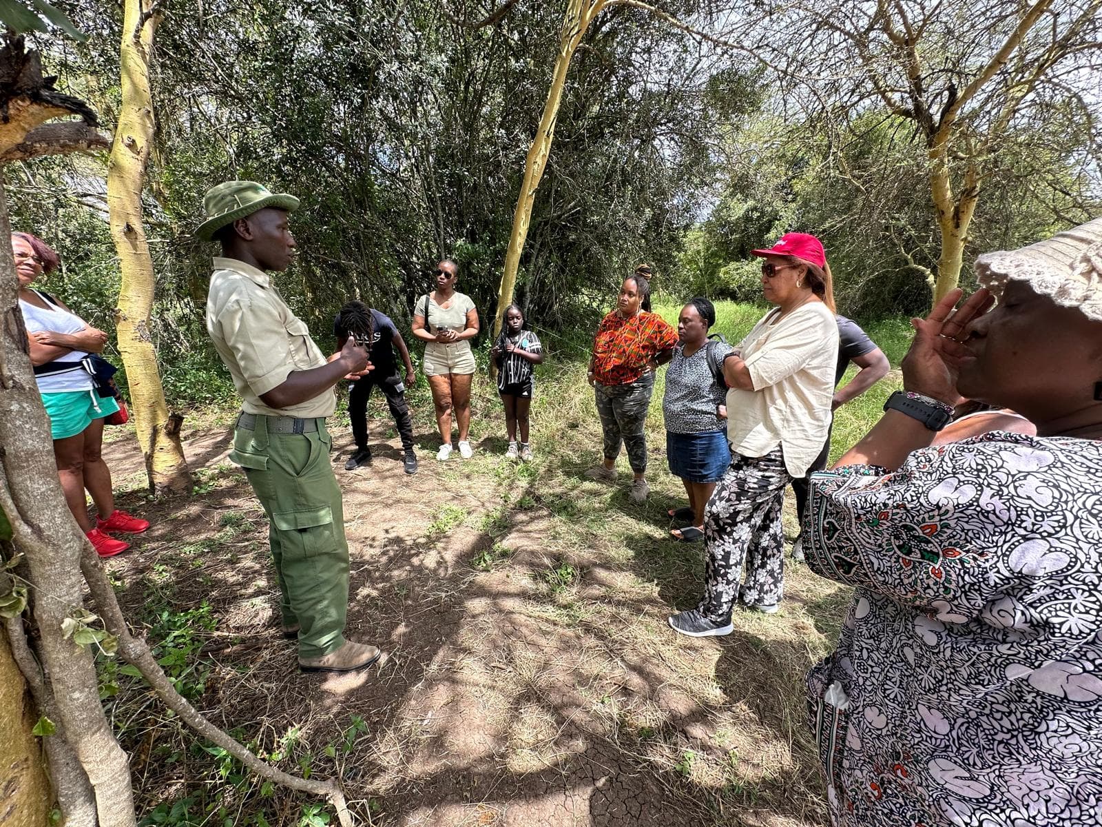 Green Forest Adventure