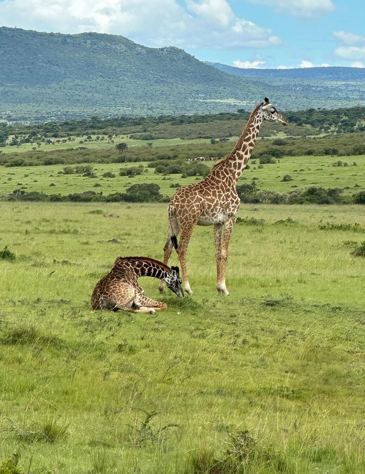 12 Days Taste of Kenya