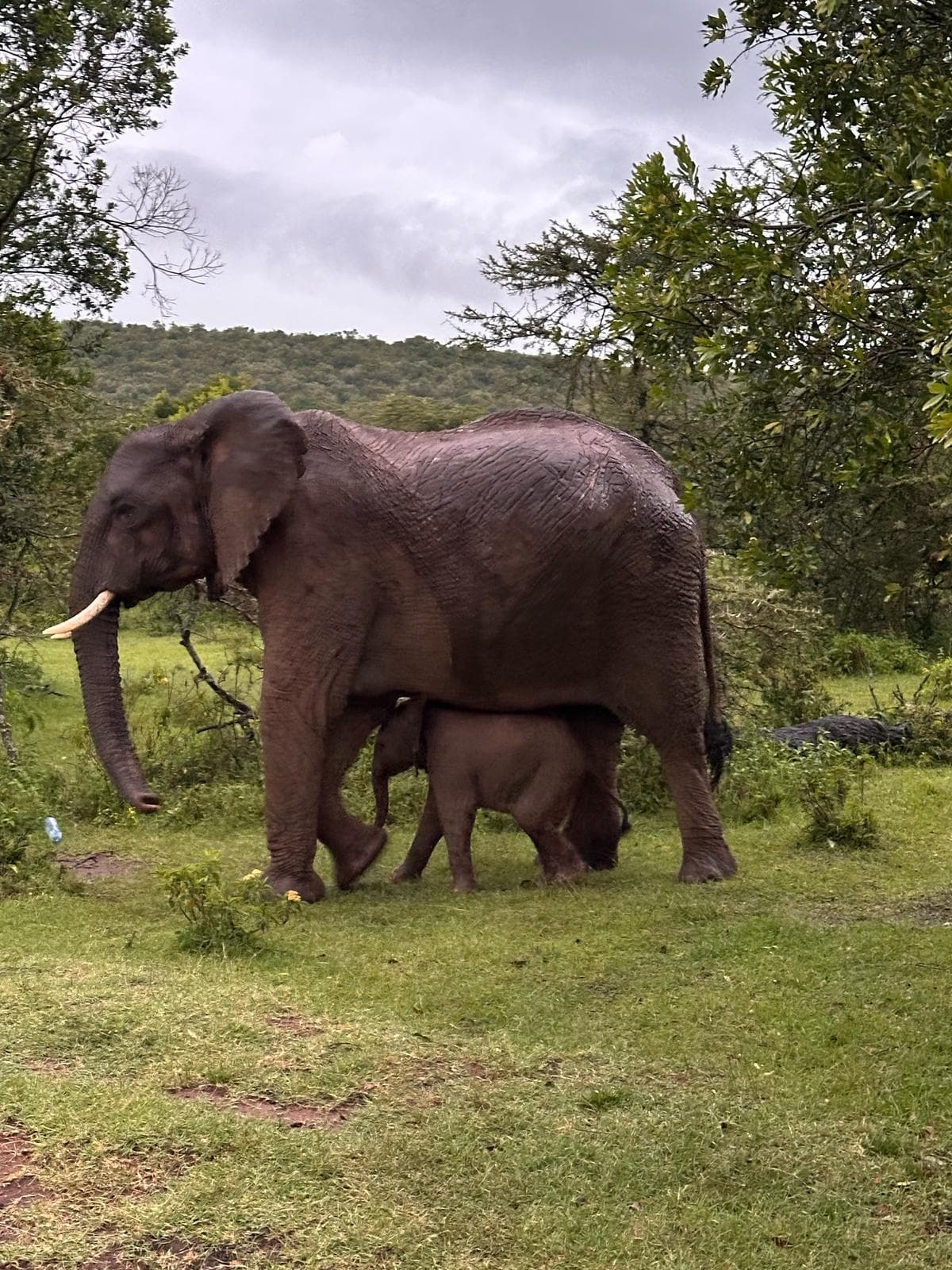 NAIROBI & DEPARTURE 2