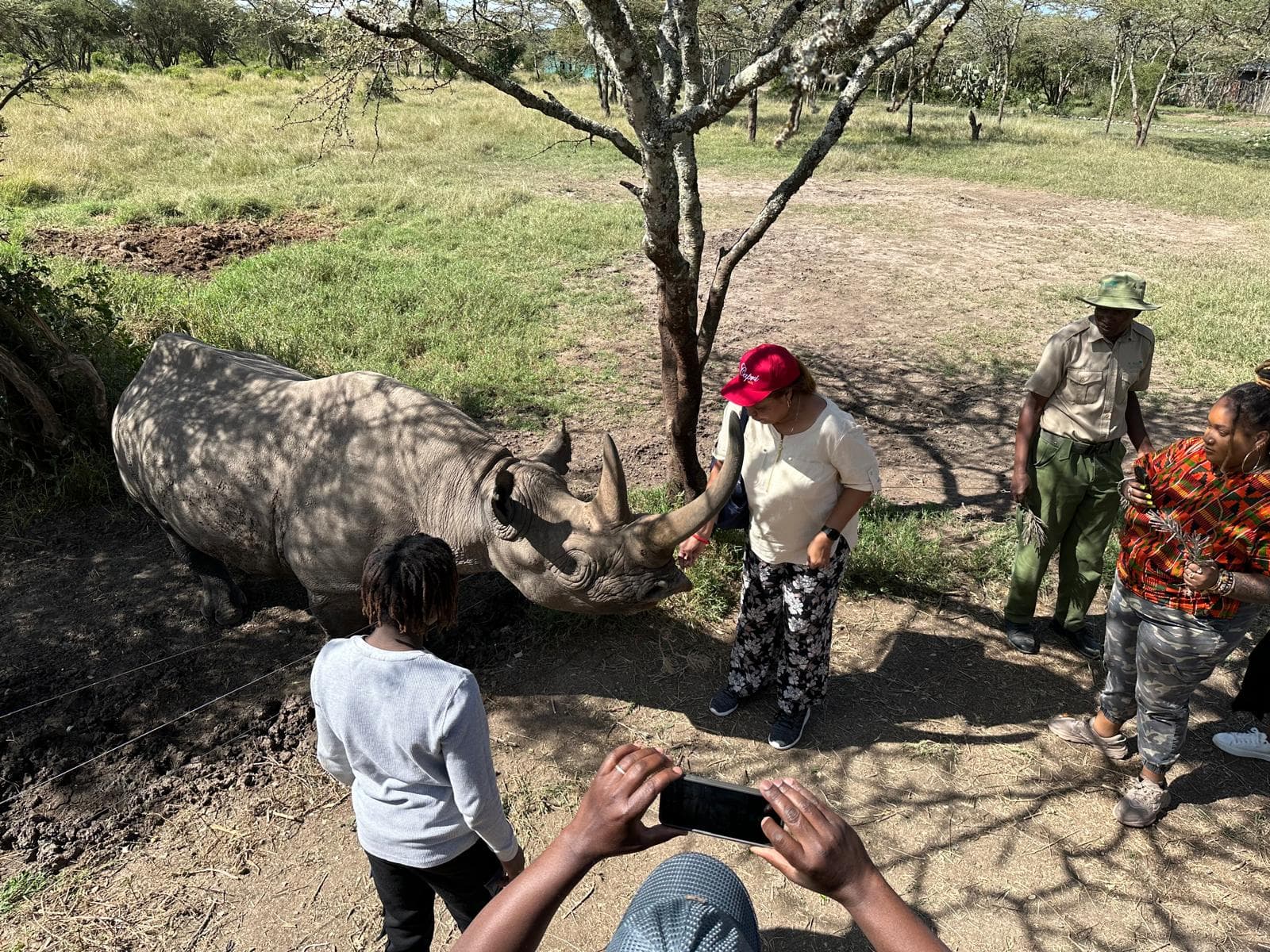 SWEETWATERS, OL PEJETA 2